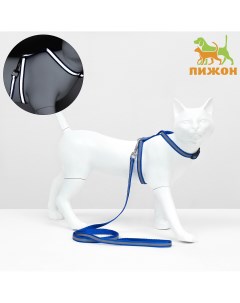 Комплект для кошек светоотражающий ширина 1 см шлейка 21 35 см поводок 120 см синий Пижон