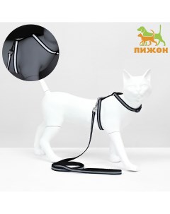 Комплект для кошек светоотражающий ширина 1 см шлейка 21 35 см поводок 120 см черный Пижон