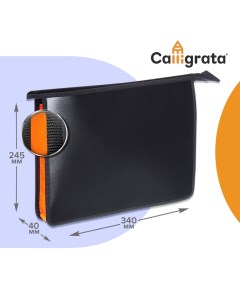 Папка для тетрадей а4 40 х 245 х 340 мм молния сверху пластиковая черная оранжевая Calligrata