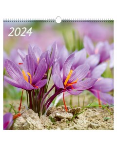 Календарь на 2024 32х32 цветы Канц-эксмо