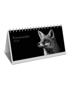 Календарь на 2024 настольный Wild Канц-эксмо