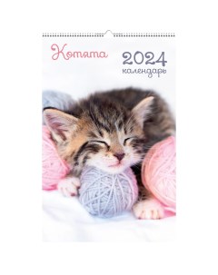 Календарь на 2024 28х43 домашние любимцы котята Канц-эксмо