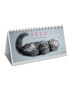 Календарь на 2024 настольный котики Канц-эксмо