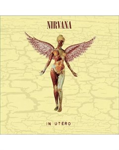 Nirvana In Utero 30th Anniversary Edition Geffen records
