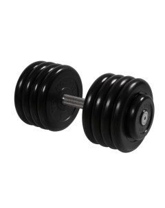 Неразборная гантель Профи 1 x 43 5 кг черный Mb barbell