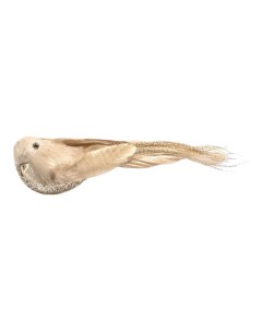Елочная игрушка NY Птица золотистая 18 см Mercury