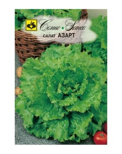 Семена салат кочанный Азарт Среднеспелые 62326 1 упаковка Семко