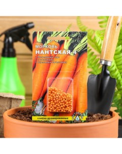 Семена морковь Нантская 4 9359357 2p 1 уп Росток-гель