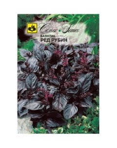 Семена базилик фиолетовый Ред Рубин Раннеспелые 62238 1 упаковка Семко