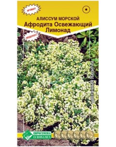 Семена алиссум Афродита освежающий лимонад 17569 1 уп Евросемена