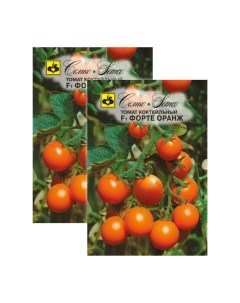 Семена томат Форте оранж F1 23 00877 Семко