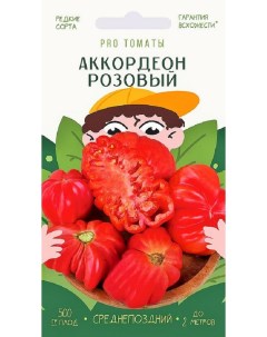 Семена томат Аккордеон 35799 1 уп Агрони