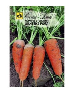 Семена морковь Шантенэ роял 62282 Семко