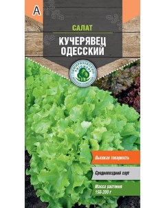 Семена салат Кучерявец одесский TLTRST2005 Тимирязевский питомник