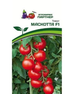 Семена томат Маскотта F1 34781 1 уп Агрофирма партнер