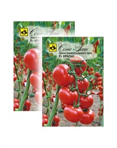 Семена томат Ураган F1 23 00887 Семко