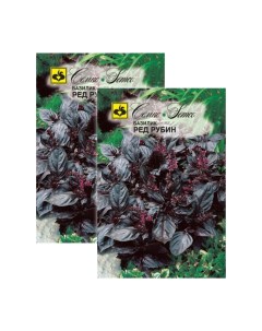 Комплект семян базилик фиолетовый Ред Рубин Раннеспелые 23 01025 2 упаковки Семко