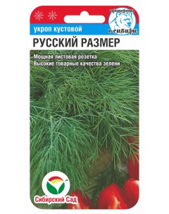 Семена Укроп Кустовой Русский размер Среднеспелые 63795 1 гр Сибирский сад