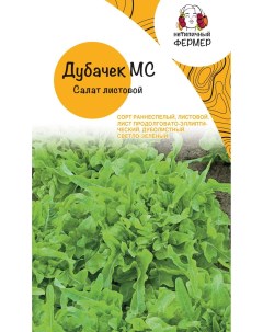 Семена салат Дубачек TLTRST1999 1 уп Нетипичный фермер