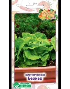 Семена зелени Салат кочанный Бернар 31312 1 шт Евросемена