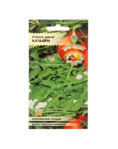 Семена Индау Рукола Кальяри дикая скороспелая листья нежные вкус очень яркий 0 5 г Евросемена