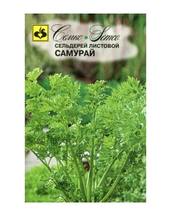 Семена сельдерей листовой Самурай Среднеспелые 62335 1 упаковка Семко