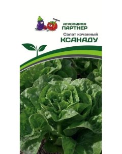 Семена зелени Салат кочанный Ксанаду 34810 1 уп Агрофирма партнер