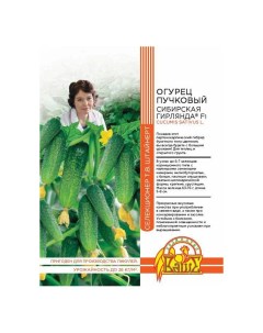 Семена огурец Сибирская гирлянда F1 1 уп Семена селекции штайнерт т.в.
