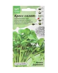 Семена зелени Кресс салат Мечта Дербента T04852 1 г Агросидстрейд