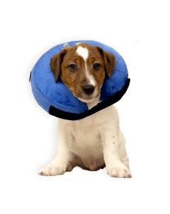 Защитный воротник для домашнего питомца синий ПВХ 25 33 см Mr. dog