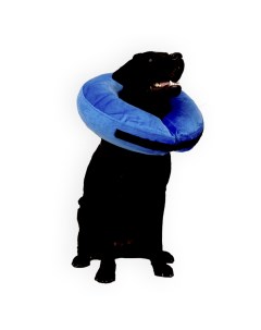Защитный воротник для домашнего питомца синий ПВХ 58 см Mr. dog
