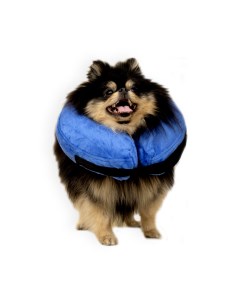 Защитный воротник для домашнего питомца синий ПВХ 12 18 см Mr. dog