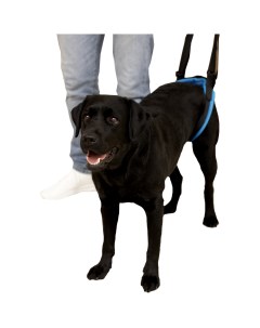 Шлейка для собак PD60032 XL поддерживающая синий неопрен 80 см Mr. dog