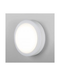 Пылевлагозащищенный светодиодный светильник 6500К LTB51 белый Elektrostandard
