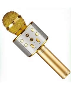 Музыкальный микрофон WS 858 Золотой GF Nobrand