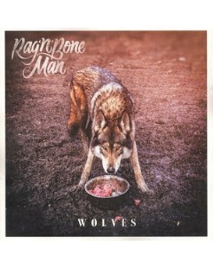 Rag n Bone Man Wolves Vinyl LP Медиа