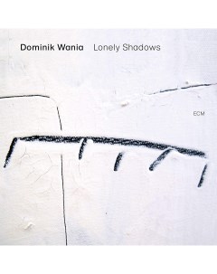 Dominik Wania Lonely Shadows Мистерия звука