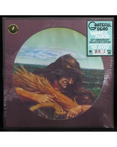 Grateful Dead Wake Of The Flood LP Plastinka.com