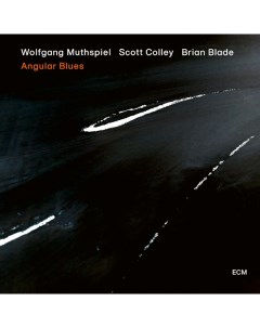 Wolfgang Muthspiel Scott Colley Brian Blade Angular Blues LP Ecm records