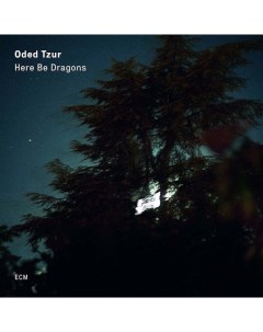 Oded Tzur Here Be Dragons LP Ecm records