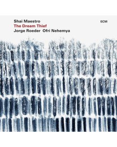 Shai Maestro Trio The Dream Thief LP Ecm records