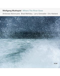Wolfgang Muthspiel Where The River Goes LP Ecm records