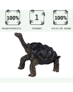 Фигурка серии Мир диких животных Звездчатая черепаха MM218 372 Masai mara