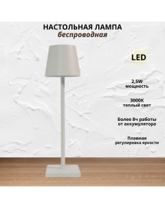 Беспроводная настольная лампа гладкий абажур 2 5Вт 3000К белый Fedotov
