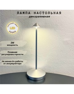 Лампа настольная беспроводная с регулировкой яркости LED 2Вт 3000К серебрянный Fedotov