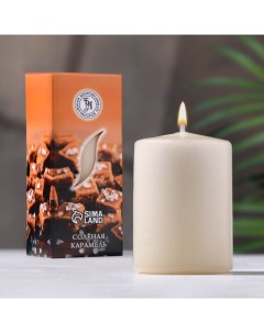 Свеча Соленая карамель 9236649 ароматическая 4x6 см в коробке Богатство аромата