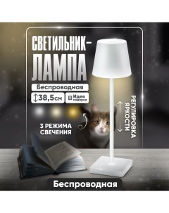 Лампа настольная светодиодная 3 5 Вт белый SM99132 Solmax&home