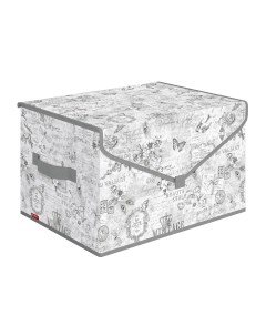 Коробка для хранения вещей с крышкой VG BOX TM 40х30х25 см Valiant