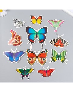 Бабочки Натуральные 9668922 картон набор 12 шт h 4 10 см на магните Nobrand