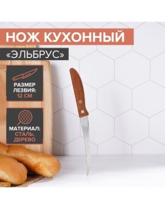 Нож кухонный Эльбрус лезвие 12 см 2шт Доляна